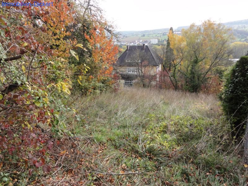 Niefern-Öschelbronn: Baugrundstück in herrlicher Südlage 